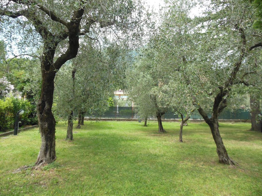 Residenza Hotel Garden Toscolano Maderno Extérieur photo